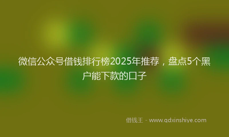 微信公众号借钱排行榜2025年推荐，盘点5个黑户能下款的口子