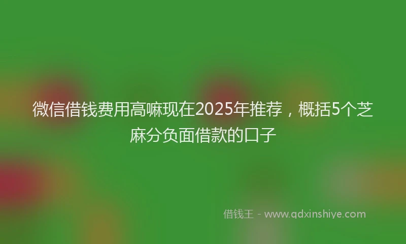 微信借钱费用高嘛现在2025年推荐，概括5个芝麻分负面借款的口子