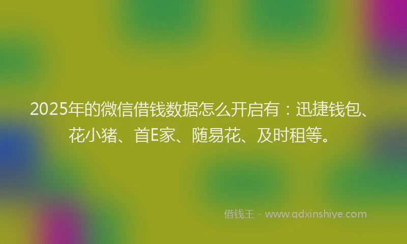 2025年的微信借钱数据怎么开启有：迅捷钱包、花小猪、首E家、随易花、及时租等。