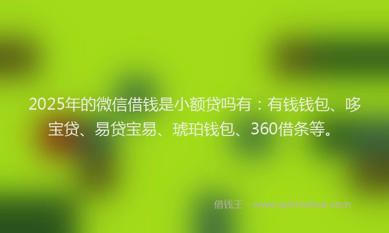 2025年的微信借钱是小额贷吗有：有钱钱包、哆宝贷、易贷宝易、琥珀钱包、360借条等。