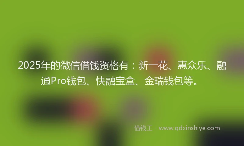 2025年的微信借钱资格有：新一花、惠众乐、融通Pro钱包、快融宝盒、金瑞钱包等。