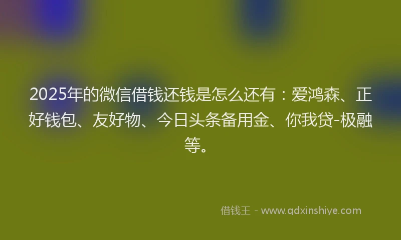 2025年的微信借钱还钱是怎么还有：爱鸿森、正好钱包、友好物、今日头条备用金、你我贷-极融等。