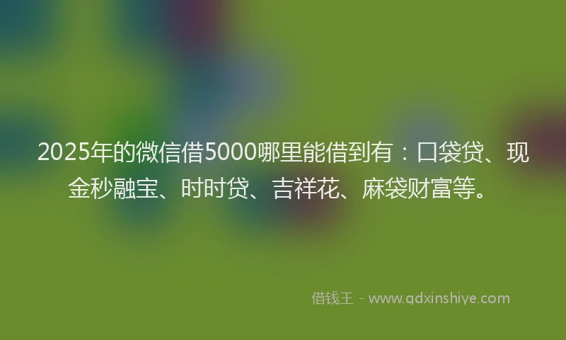 2025年的微信借5000哪里能借到有：口袋贷、现金秒融宝、时时贷、吉祥花、麻袋财富等。