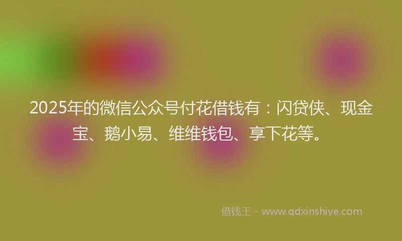2025年的微信公众号付花借钱有：闪贷侠、现金宝、鹅小易、维维钱包、享下花等。