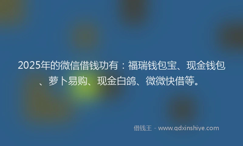 2025年的微信借钱功有：福瑞钱包宝、现金钱包、萝卜易购、现金白鸽、微微快借等。
