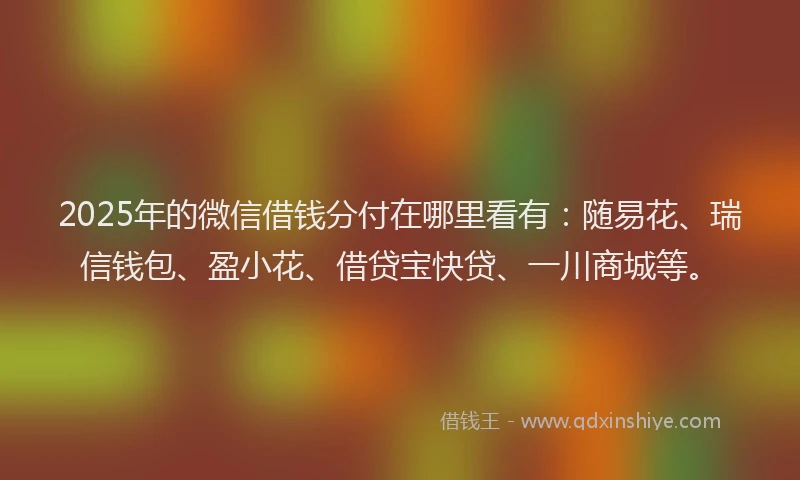 2025年的微信借钱分付在哪里看有：随易花、瑞信钱包、盈小花、借贷宝快贷、一川商城等。