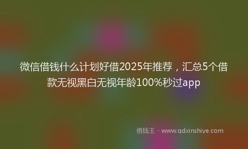 微信借钱什么计划好借2025年推荐，汇总5个借款无视黑白无视年龄100%秒过app