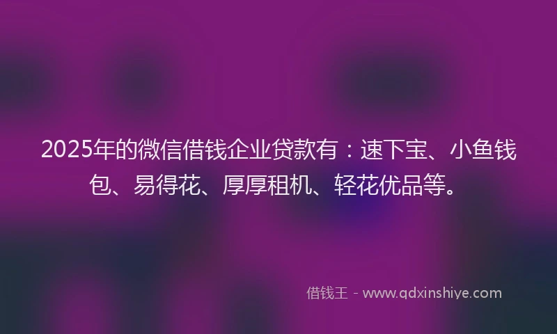 2025年的微信借钱企业贷款有：速下宝、小鱼钱包、易得花、厚厚租机、轻花优品等。