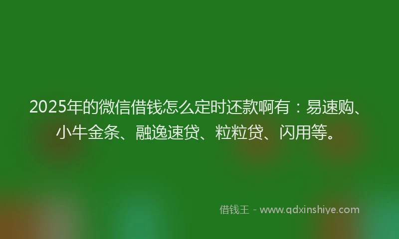 2025年的微信借钱怎么定时还款啊有：易速购、小牛金条、融逸速贷、粒粒贷、闪用等。