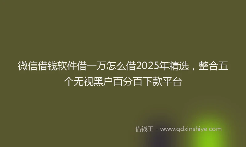 微信借钱软件借一万怎么借2025年精选，整合五个无视黑户百分百下款平台