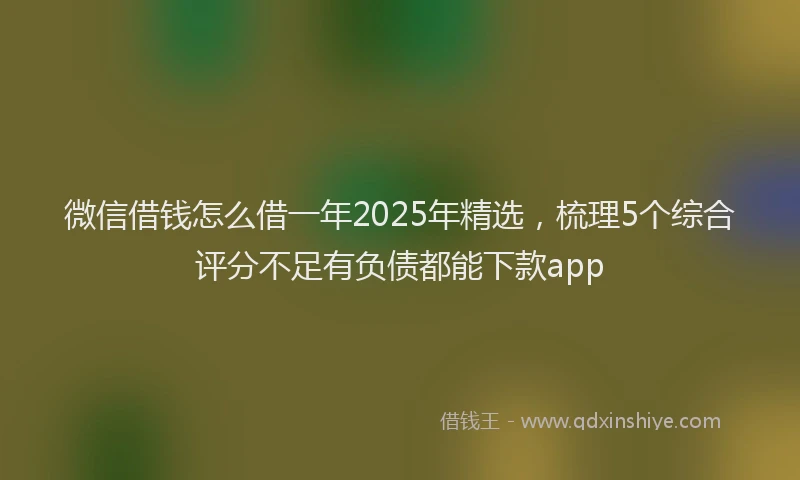 微信借钱怎么借一年2025年精选，梳理5个综合评分不足有负债都能下款app