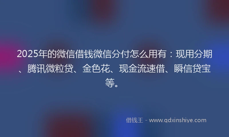 2025年的微信借钱微信分付怎么用有：现用分期、腾讯微粒贷、金色花、现金流速借、瞬信贷宝等。