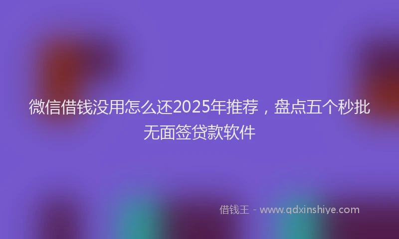 微信借钱没用怎么还2025年推荐，盘点五个秒批无面签贷款软件