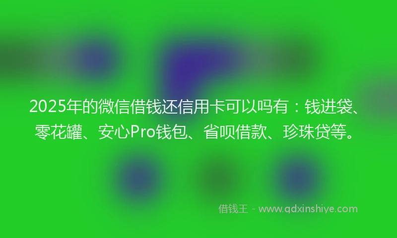 2025年的微信借钱还信用卡可以吗有：钱进袋、零花罐、安心Pro钱包、省呗借款、珍珠贷等。