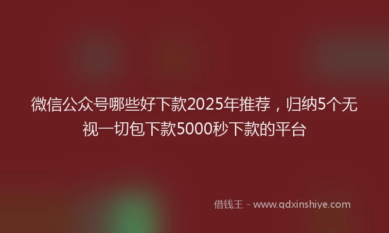 微信公众号哪些好下款2025年推荐，归纳5个无视一切包下款5000秒下款的平台