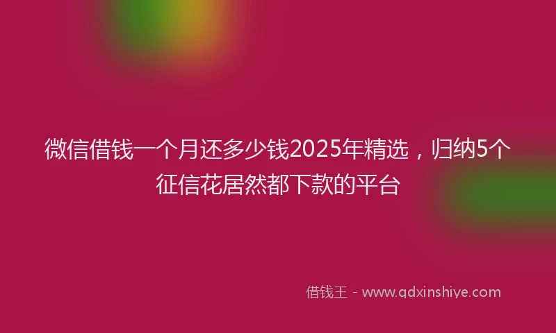 微信借钱一个月还多少钱2025年精选，归纳5个征信花居然都下款的平台