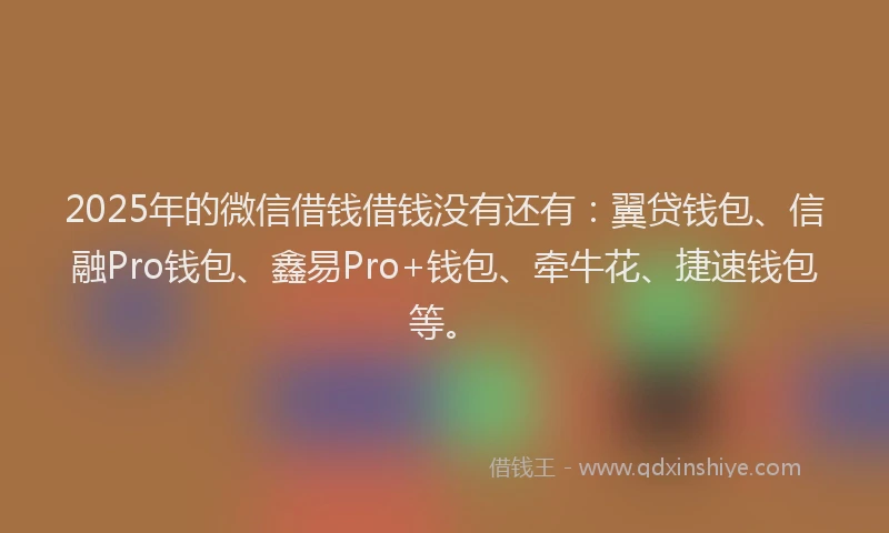 2025年的微信借钱借钱没有还有：翼贷钱包、信融Pro钱包、鑫易Pro+钱包、牵牛花、捷速钱包等。