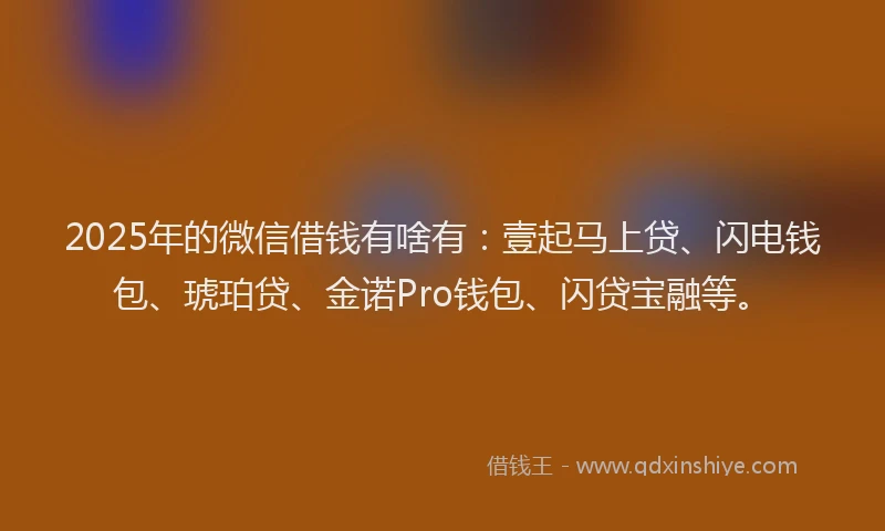 2025年的微信借钱有啥有：壹起马上贷、闪电钱包、琥珀贷、金诺Pro钱包、闪贷宝融等。