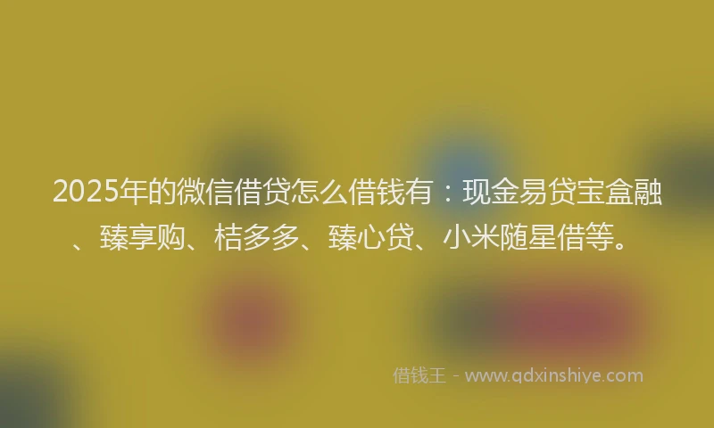 2025年的微信借贷怎么借钱有：现金易贷宝盒融、臻享购、桔多多、臻心贷、小米随星借等。