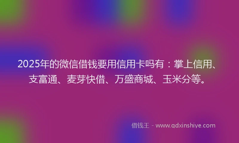 2025年的微信借钱要用信用卡吗有：掌上信用、支富通、麦芽快借、万盛商城、玉米分等。
