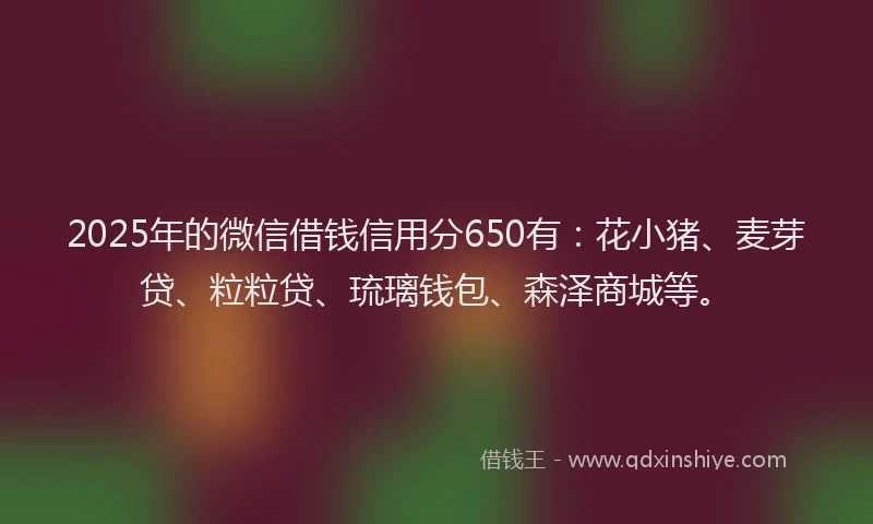 2025年的微信借钱信用分650有：花小猪、麦芽贷、粒粒贷、琉璃钱包、森泽商城等。