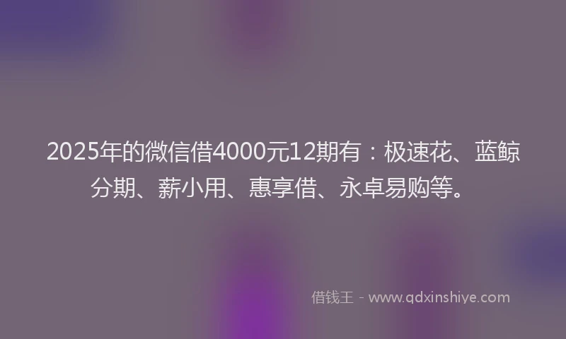 2025年的微信借4000元12期有：极速花、蓝鲸分期、薪小用、惠享借、永卓易购等。