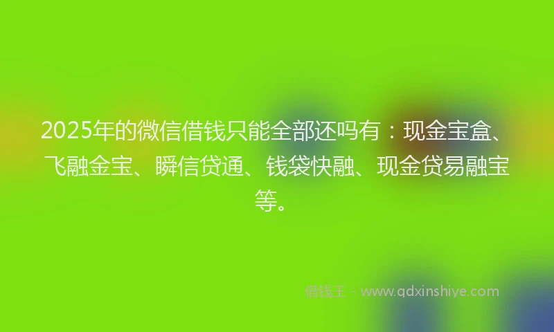 2025年的微信借钱只能全部还吗有：现金宝盒、飞融金宝、瞬信贷通、钱袋快融、现金贷易融宝等。