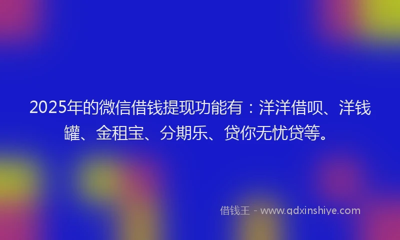 2025年的微信借钱提现功能有：洋洋借呗、洋钱罐、金租宝、分期乐、贷你无忧贷等。
