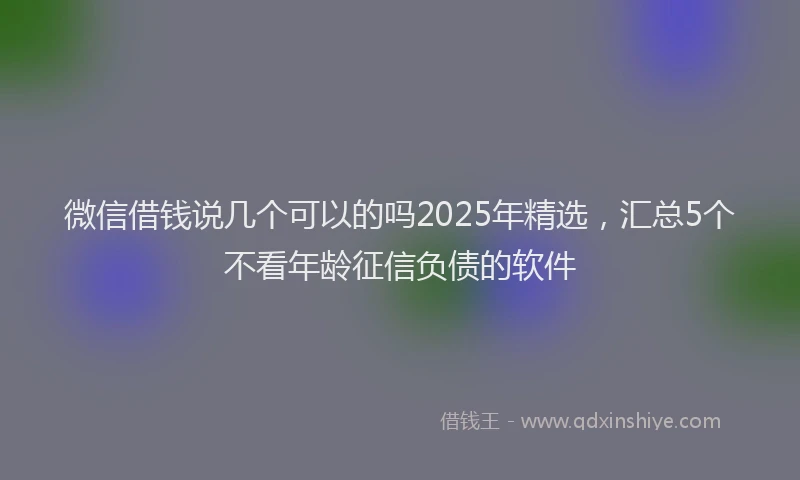 微信借钱说几个可以的吗2025年精选，汇总5个不看年龄征信负债的软件