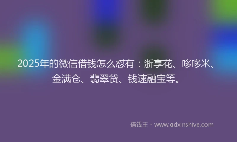 2025年的微信借钱怎么怼有：浙享花、哆哆米、金满仓、翡翠贷、钱速融宝等。