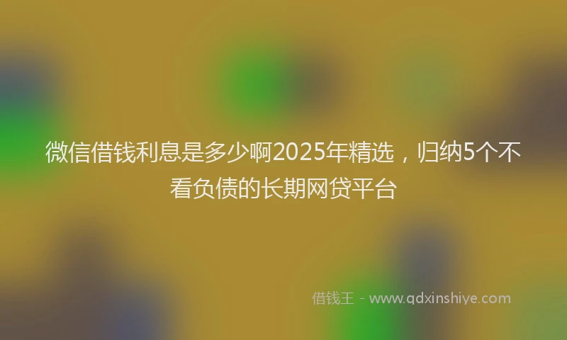 微信借钱利息是多少啊2025年精选，归纳5个不看负债的长期网贷平台