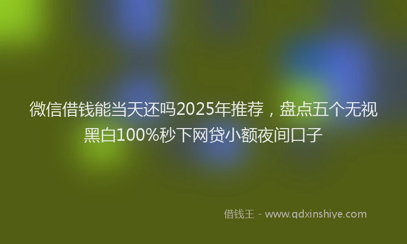 微信借钱能当天还吗2025年推荐，盘点五个无视黑白100%秒下网贷小额夜间口子