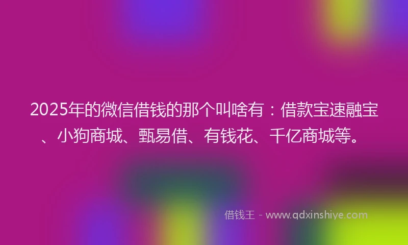 2025年的微信借钱的那个叫啥有：借款宝速融宝、小狗商城、甄易借、有钱花、千亿商城等。