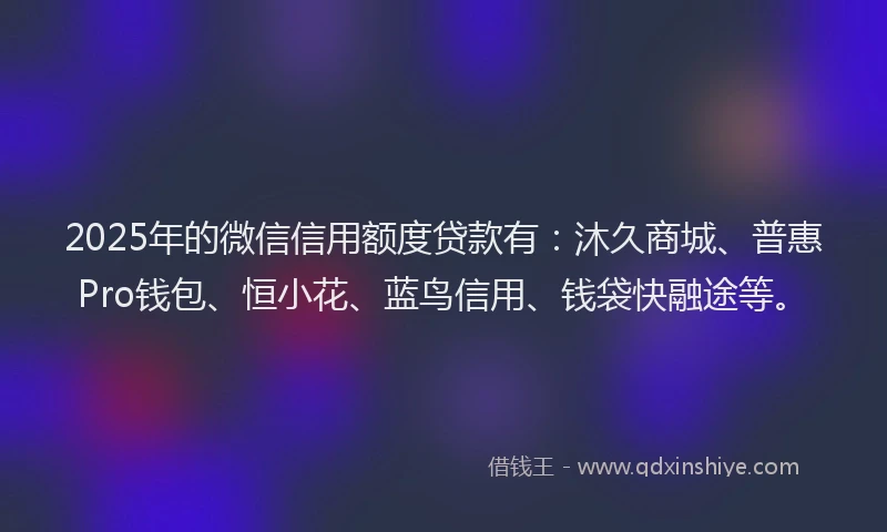 2025年的微信信用额度贷款有：沐久商城、普惠Pro钱包、恒小花、蓝鸟信用、钱袋快融途等。