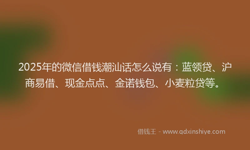 2025年的微信借钱潮汕话怎么说有：蓝领贷、沪商易借、现金点点、金诺钱包、小麦粒贷等。