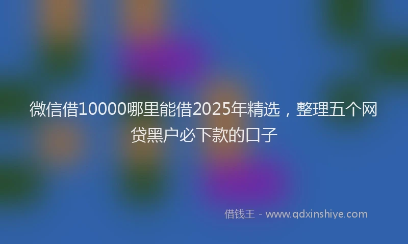 微信借10000哪里能借2025年精选，整理五个网贷黑户必下款的口子