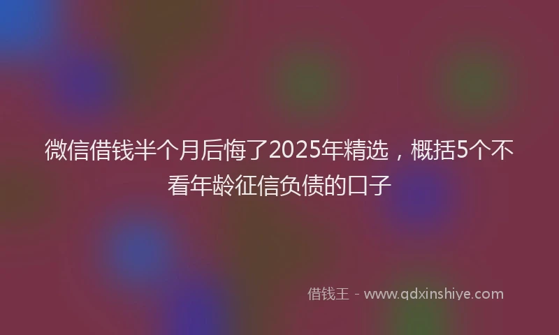 微信借钱半个月后悔了2025年精选，概括5个不看年龄征信负债的口子