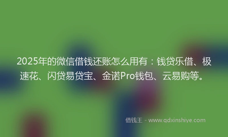 2025年的微信借钱还账怎么用有：钱贷乐借、极速花、闪贷易贷宝、金诺Pro钱包、云易购等。
