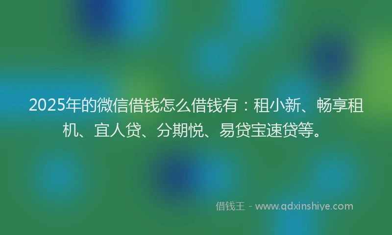 2025年的微信借钱怎么借钱有：租小新、畅享租机、宜人贷、分期悦、易贷宝速贷等。