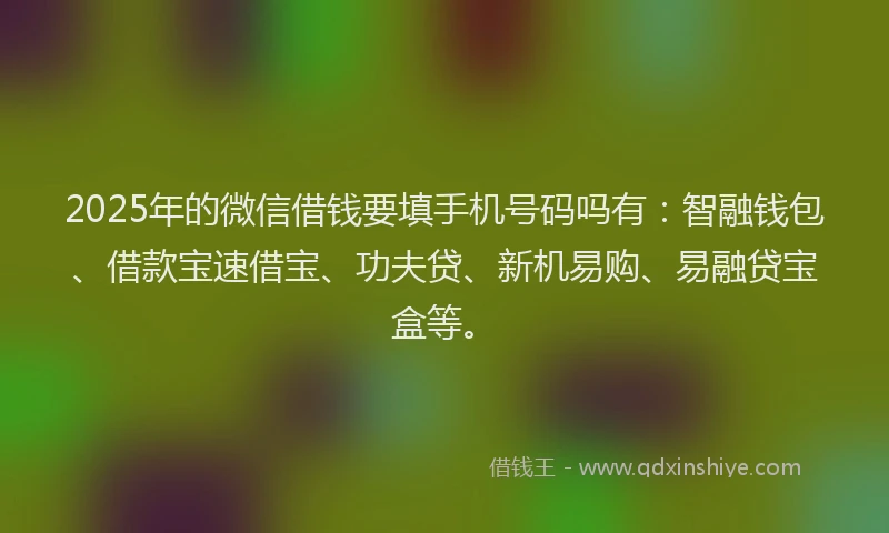 2025年的微信借钱要填手机号码吗有：智融钱包、借款宝速借宝、功夫贷、新机易购、易融贷宝盒等。