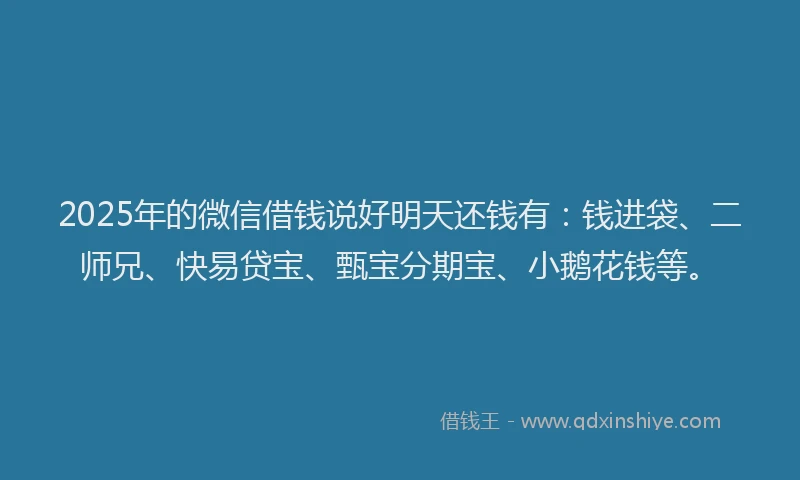 2025年的微信借钱说好明天还钱有：钱进袋、二师兄、快易贷宝、甄宝分期宝、小鹅花钱等。