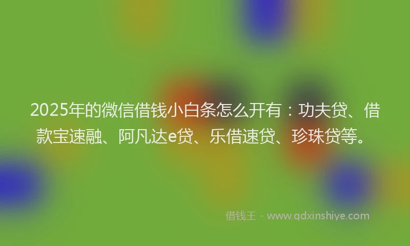 2025年的微信借钱小白条怎么开有：功夫贷、借款宝速融、阿凡达e贷、乐借速贷、珍珠贷等。