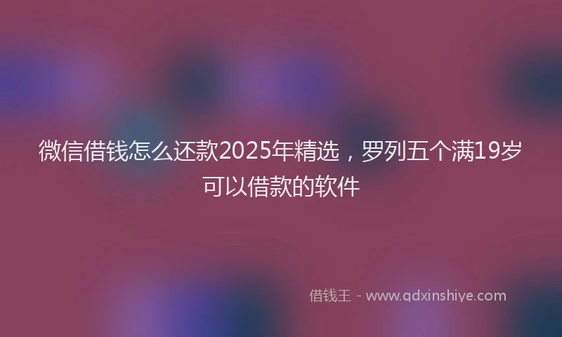 微信借钱怎么还款2025年精选，罗列五个满19岁可以借款的软件