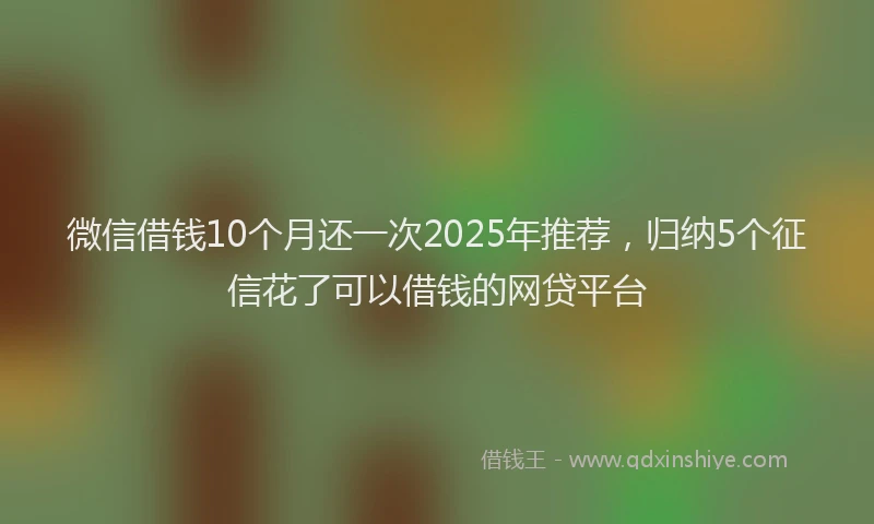 微信借钱10个月还一次2025年推荐，归纳5个征信花了可以借钱的网贷平台