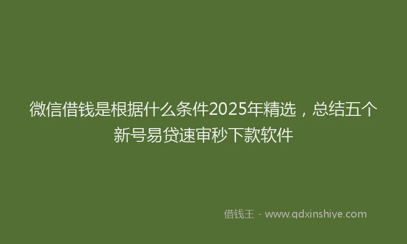 微信借钱是根据什么条件2025年精选，总结五个新号易贷速审秒下款软件