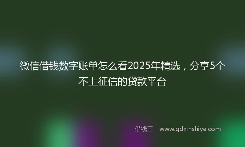 微信借钱数字账单怎么看2025年精选，分享5个不上征信的贷款平台