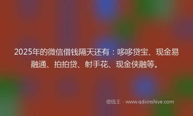2025年的微信借钱隔天还有：哆哆贷宝、现金易融通、拍拍贷、射手花、现金侠融等。
