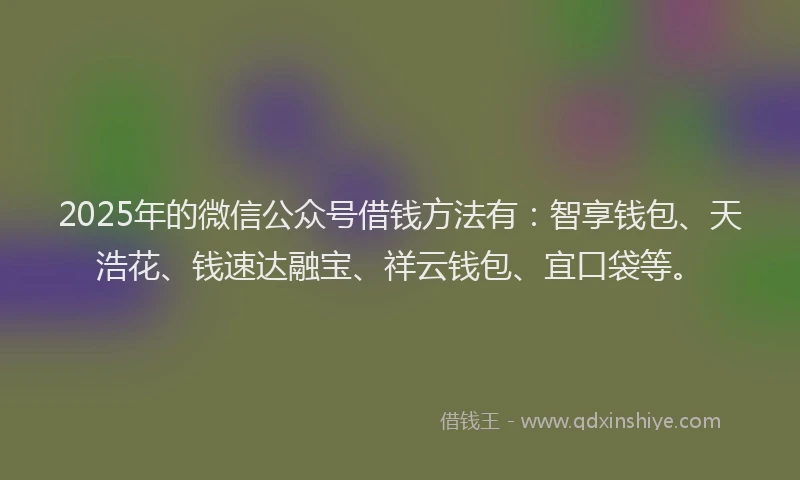 2025年的微信公众号借钱方法有：智享钱包、天浩花、钱速达融宝、祥云钱包、宜口袋等。