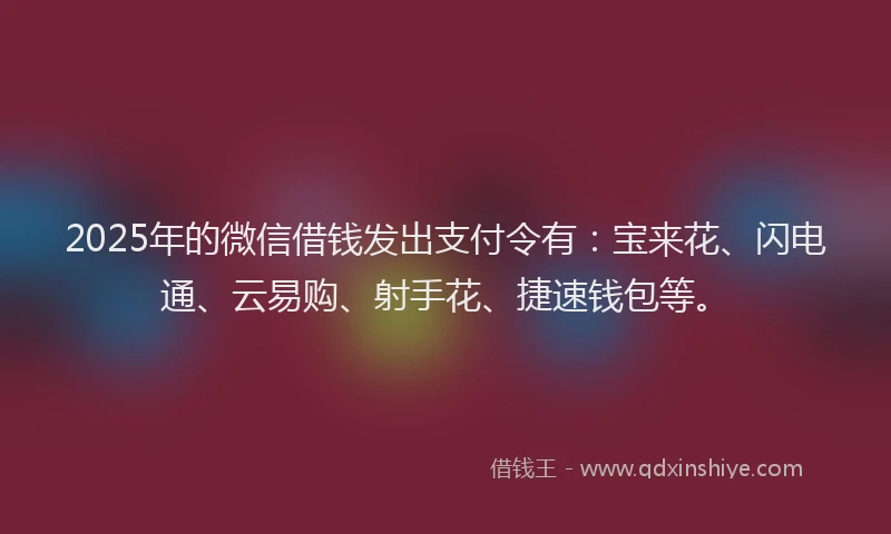 2025年的微信借钱发出支付令有：宝来花、闪电通、云易购、射手花、捷速钱包等。