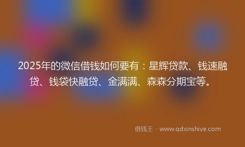 2025年的微信借钱如何要有：星辉贷款、钱速融贷、钱袋快融贷、金满满、森森分期宝等。